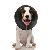Zenpet ProCollar Schutzkragen / Halskrause für Hunde und Katzen