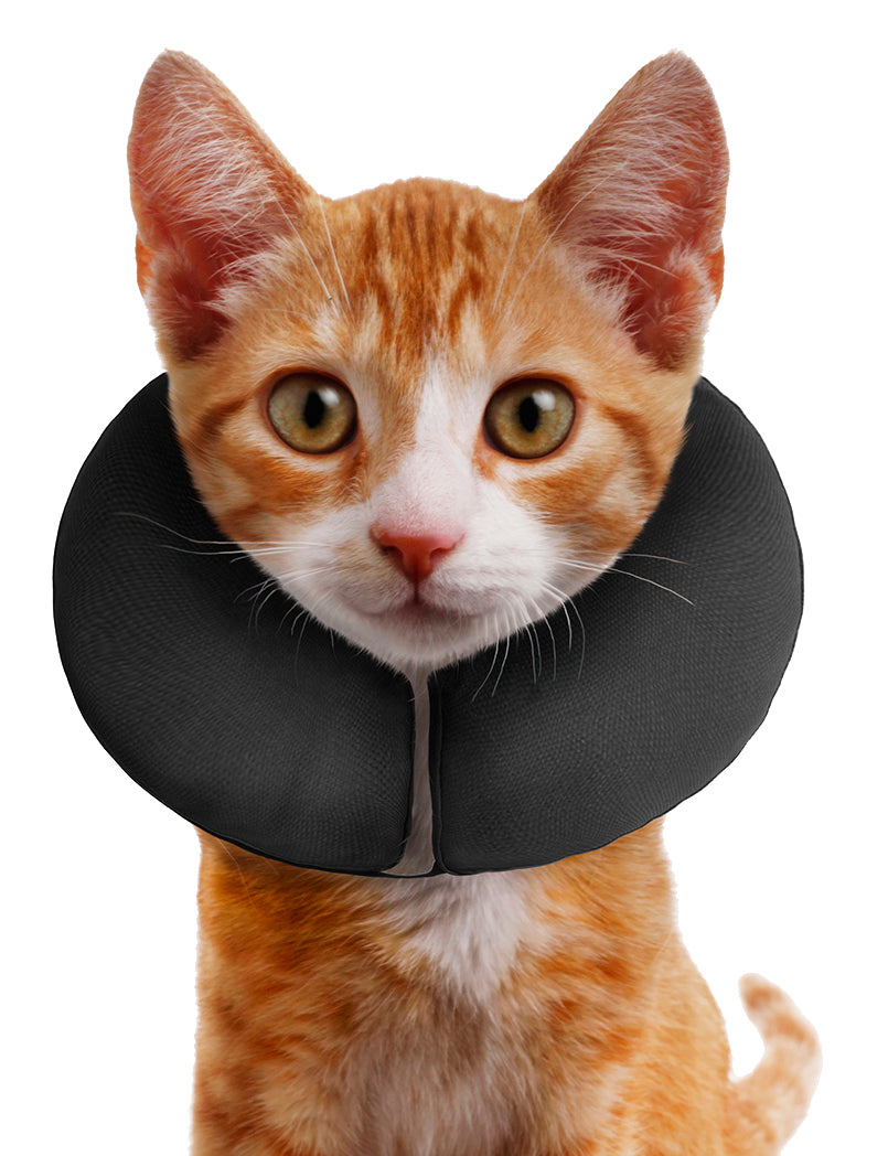 Zenpet ProCollar Schutzkragen / Halskrause für Hunde und Katzen