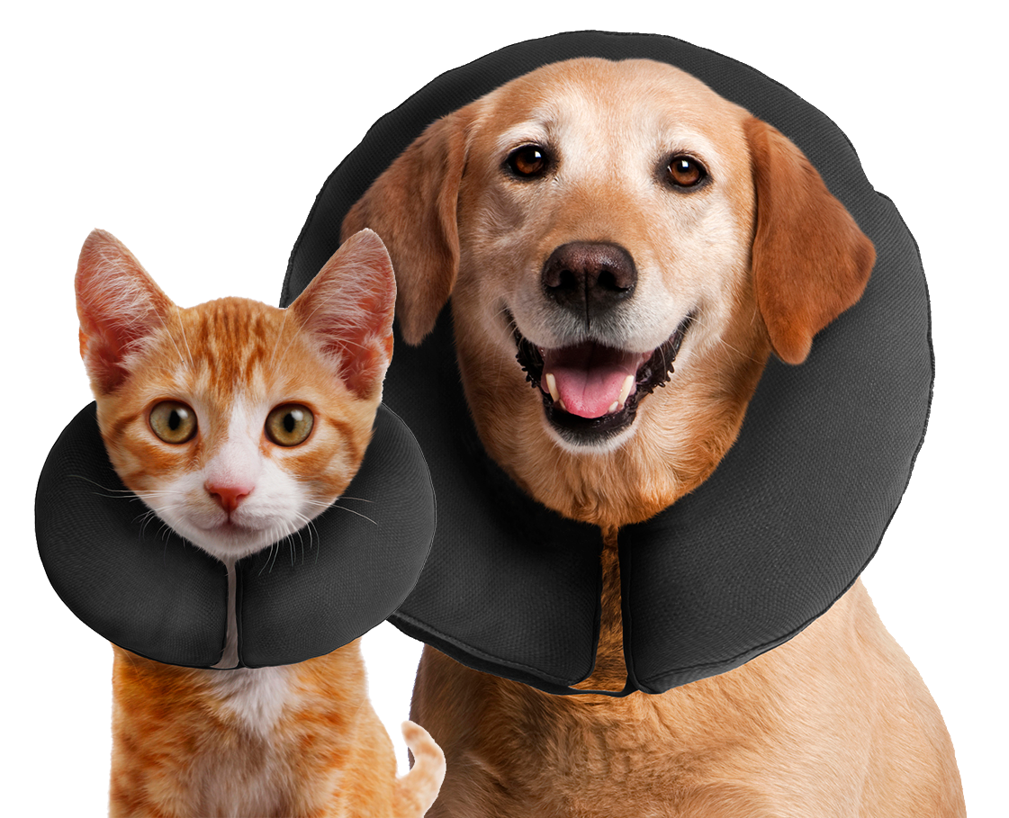 Zenpet ProCollar Schutzkragen / Halskrause für Hunde und Katzen