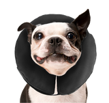 Zenpet ProCollar Schutzkragen / Halskrause für Hunde und Katzen