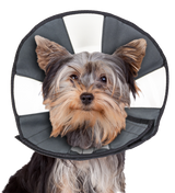 Zenpet Procone Halskragen verschiedene Größen (Hunde & Katzen)