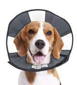 Zenpet Procone Halskragen verschiedene Größen (Hunde & Katzen)