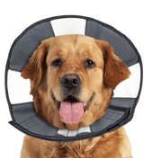 Zenpet Procone Halskragen verschiedene Größen (Hunde & Katzen)