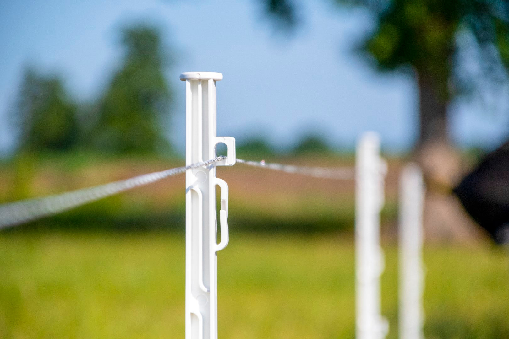 ZoneGuard Plus Zaundraht, Ø 3 mm, weiß/dunkelgrün, 400 m