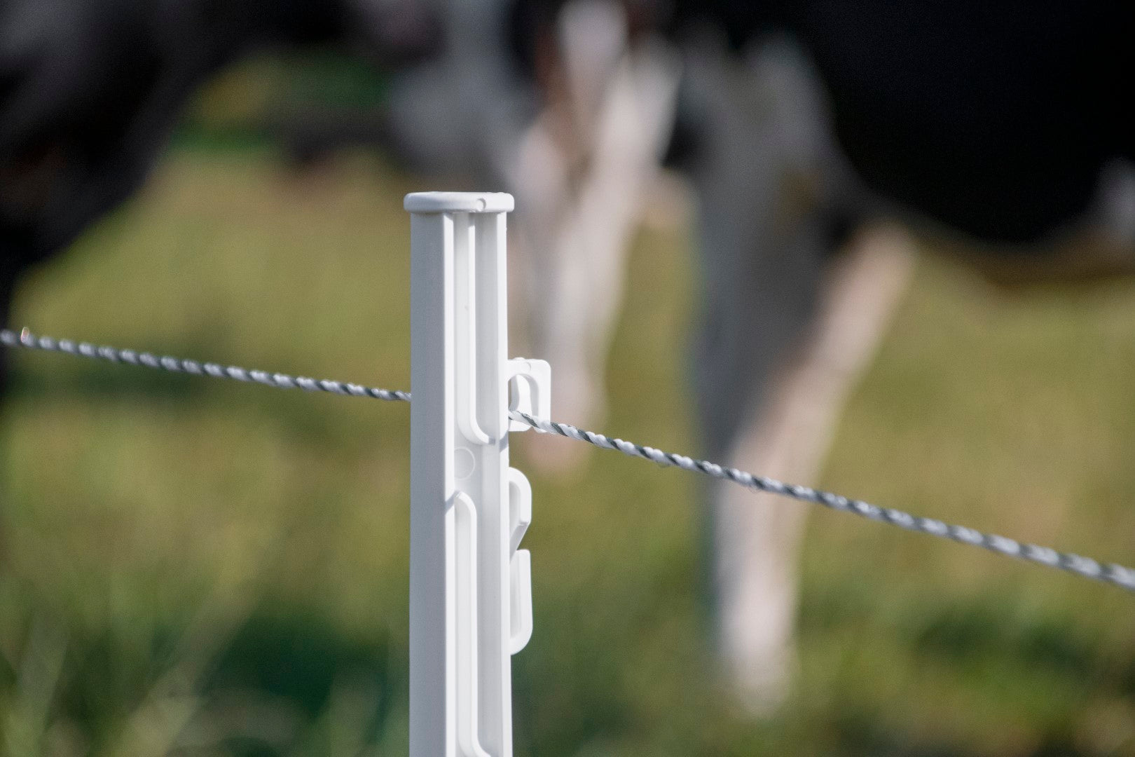 ZoneGuard Plus Zaundraht, Ø 3 mm, weiß/dunkelgrün, 400 m