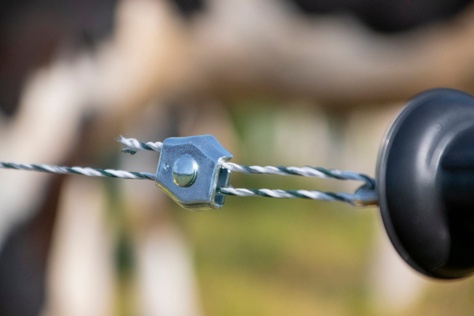 ZoneGuard Seilverbinder, verzinkt, für Elektrozaunseil Ø 6 mm, 10 Stk