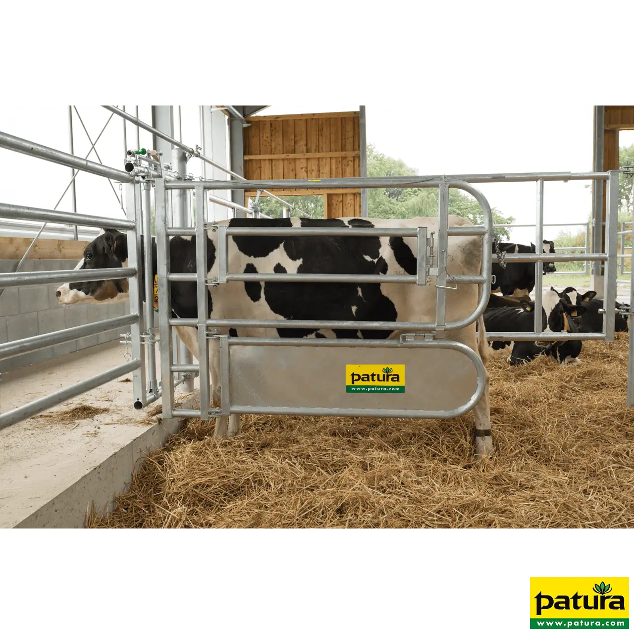 Abtrennung für Tierbehandlung, 1,9 m x 1,4 m, 69 kg