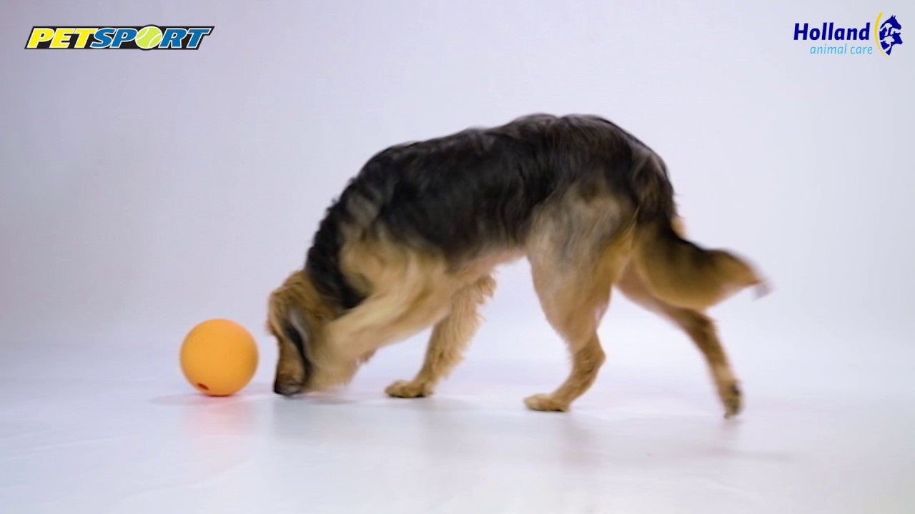 Petsport Hundespielzeug Kingpin Kibbler, schwarz, Ø 15 cm