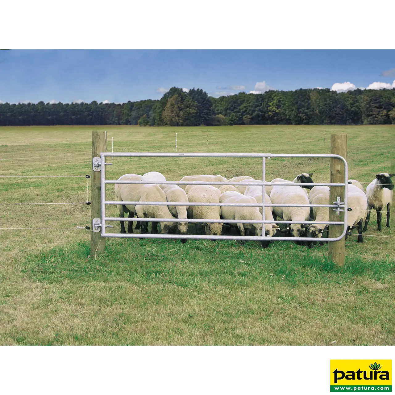 Profi-Weidezauntor Höhe 0,90 m, breite verstellbar