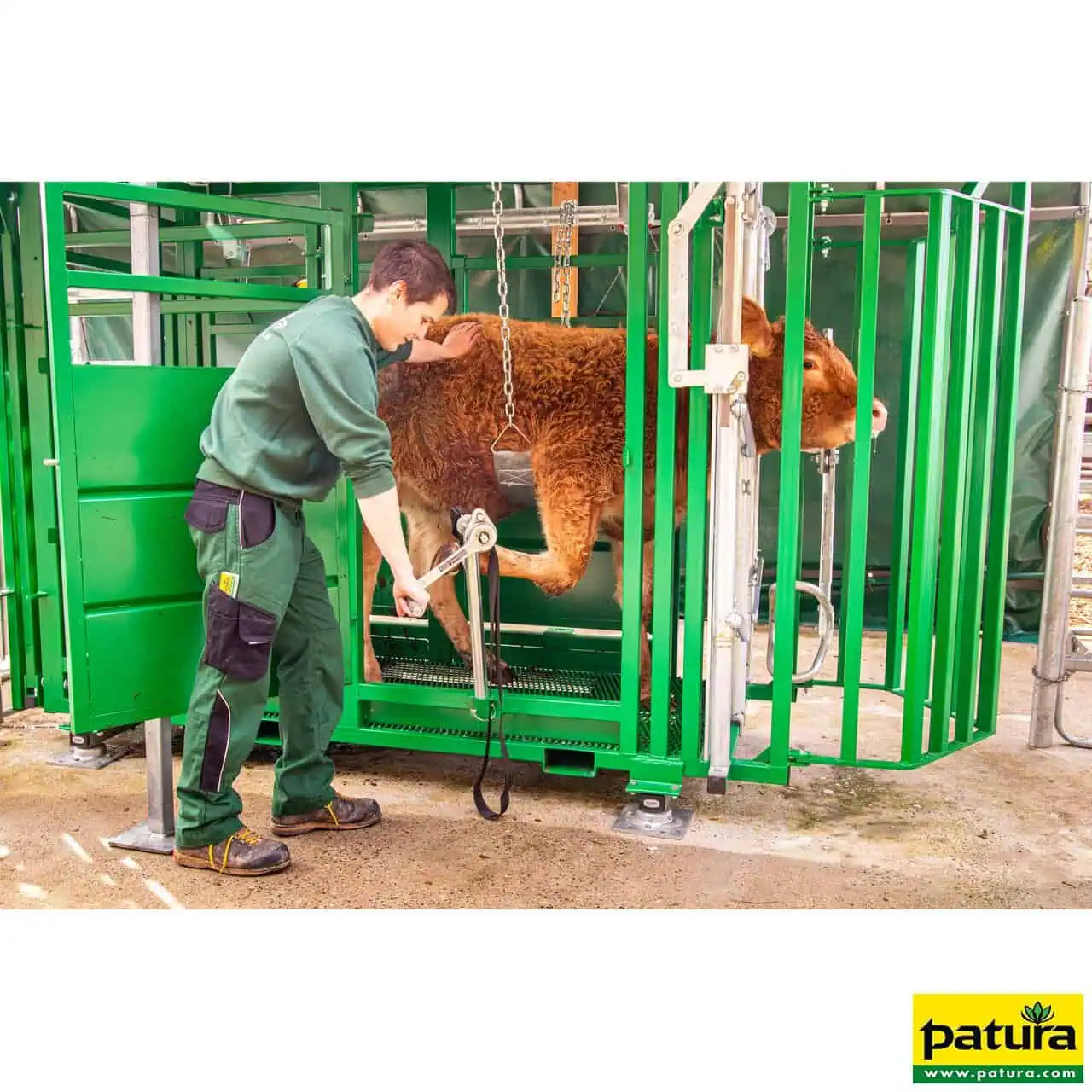 Behandlungsstand A6000, Heckschiebetür, Fangkorb 2-flügelig, stufenlose Halsfangvorrichtung, 3,2 m x 1,3 m x 2,05 m, 661 kg