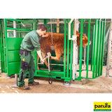 Behandlungsstand A6000, Heckschiebetür, Fangkorb 2-flügelig, stufenlose Halsfangvorrichtung, 3,2 m x 1,3 m x 2,05 m, 661 kg