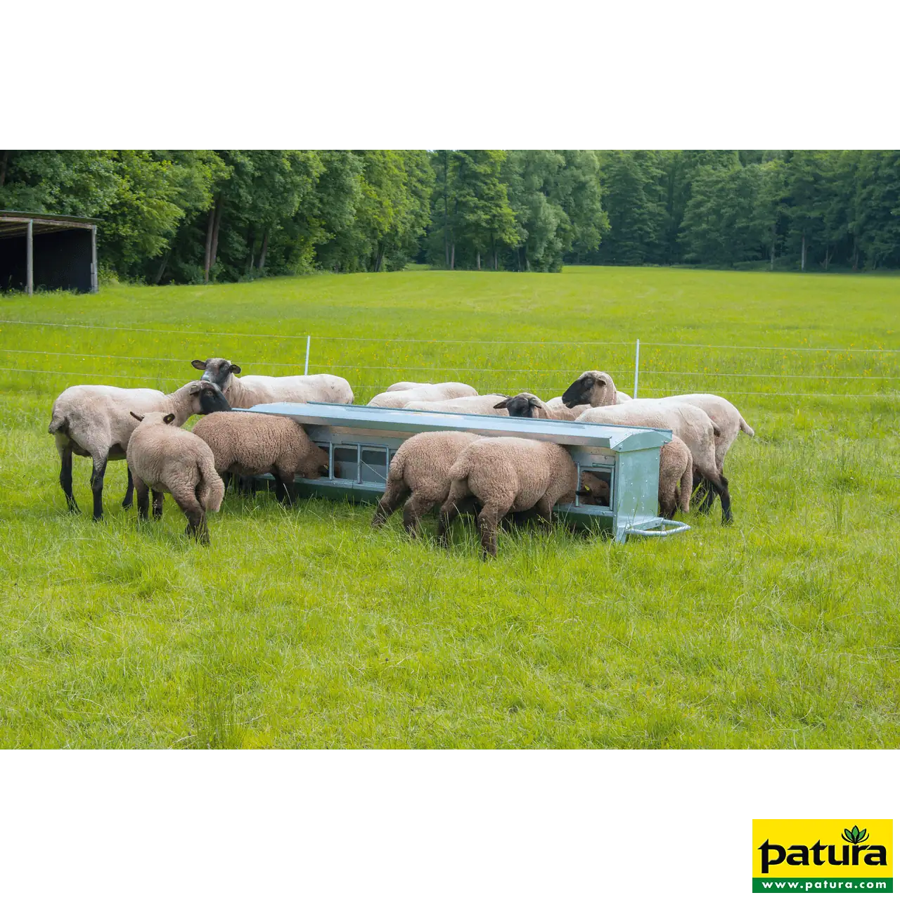 Lämmer-Futterautomat, L= 1,25 m, fahrbar Inhalt ca. 120 ltr., mit Dach, verzinkt