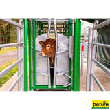 Behandlungsstand A6000, Heckschiebetür, Fangkorb 2-flügelig, stufenlose Halsfangvorrichtung, 3,2 m x 1,3 m x 2,05 m, 661 kg