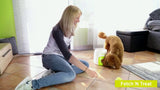 AFP Hundespielzeug Fetch'N'Treat, interaktiv, mit Belohnung, 2. Generation