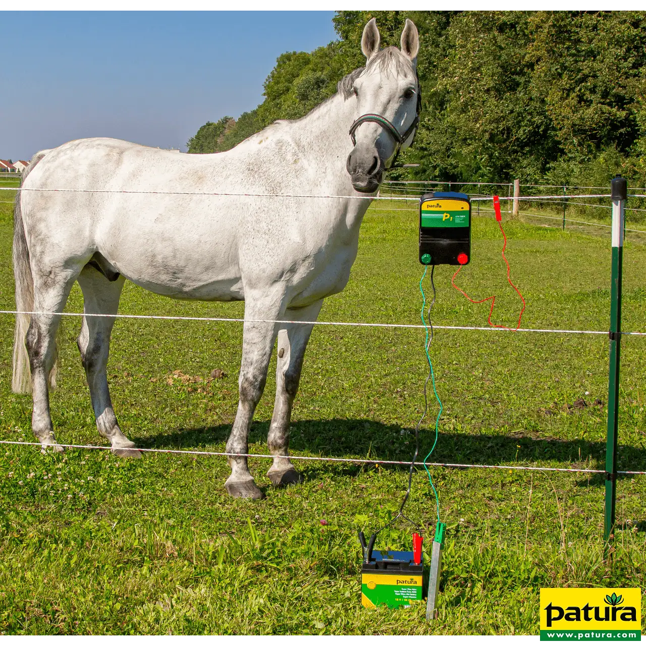 P1, Weidezaun-Kombigerät, 230V/12V