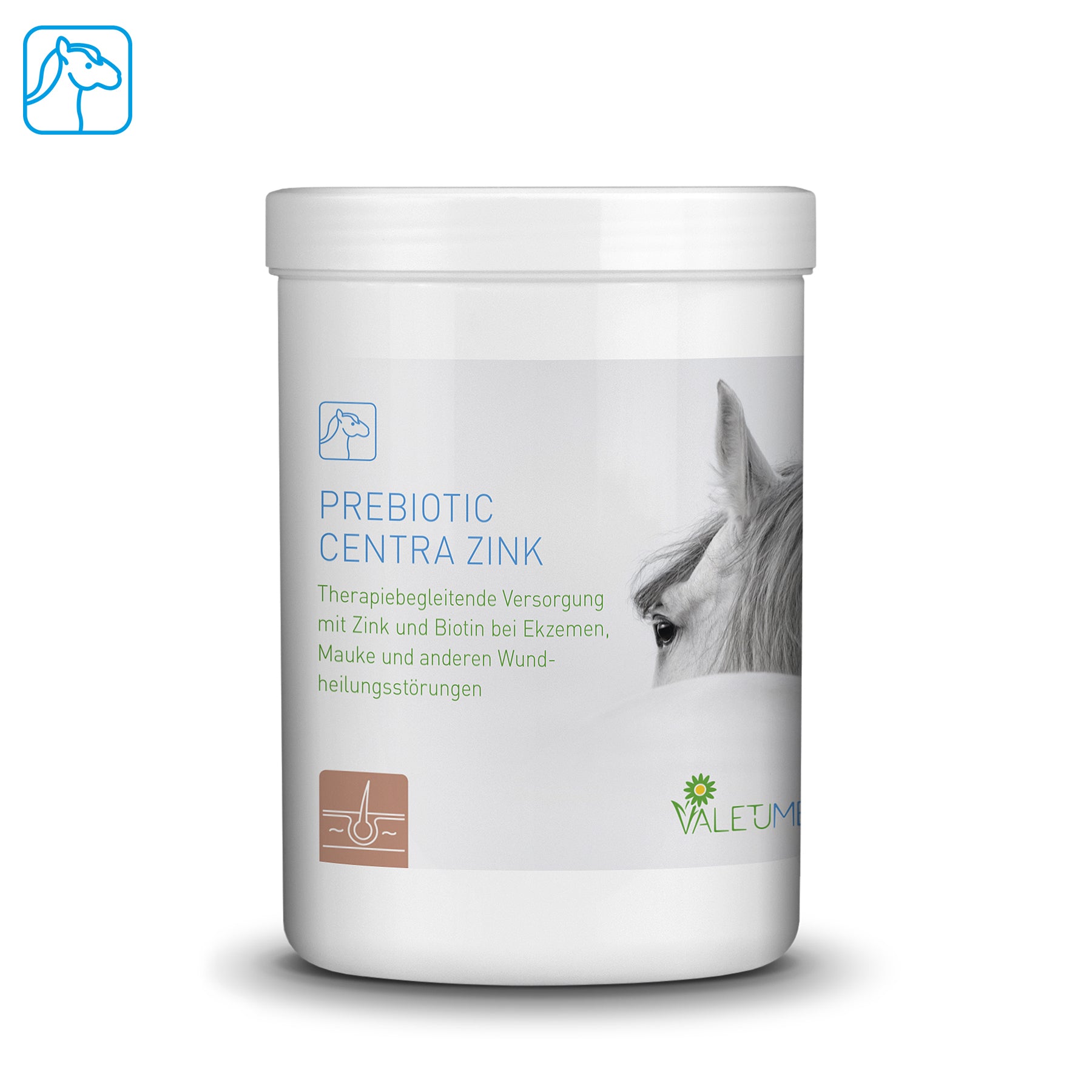 Valetumed - Prebiotic Centra Zink 750 g