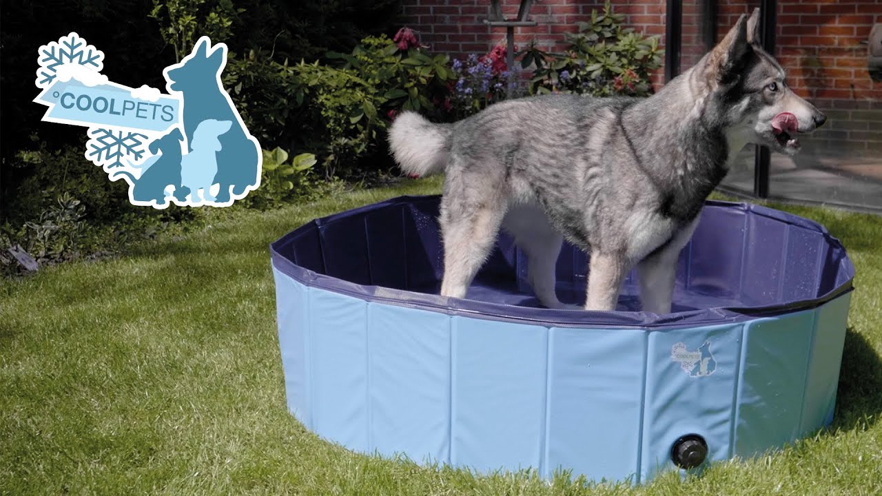 CoolPets Hundepool, Ø 100 cm, 25 cm hoch