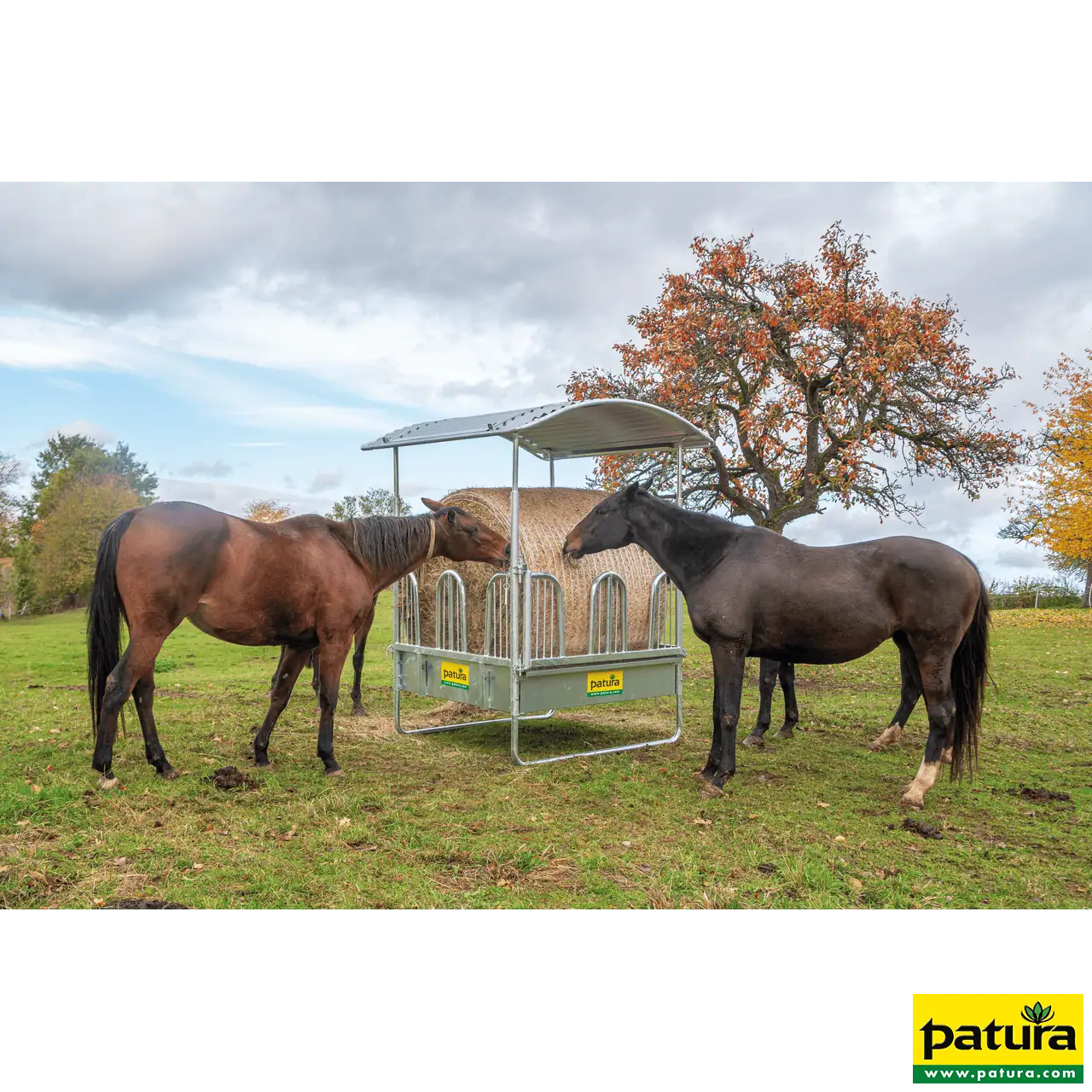 Viereckraufe mit Sicherheits- Palisadenfressgittern, 8 Fressplätze