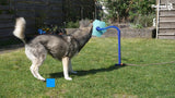 CoolPets Wassersprüher für Hunde, Stange 52 cm, Blütendurchmesser Ø 28 cm