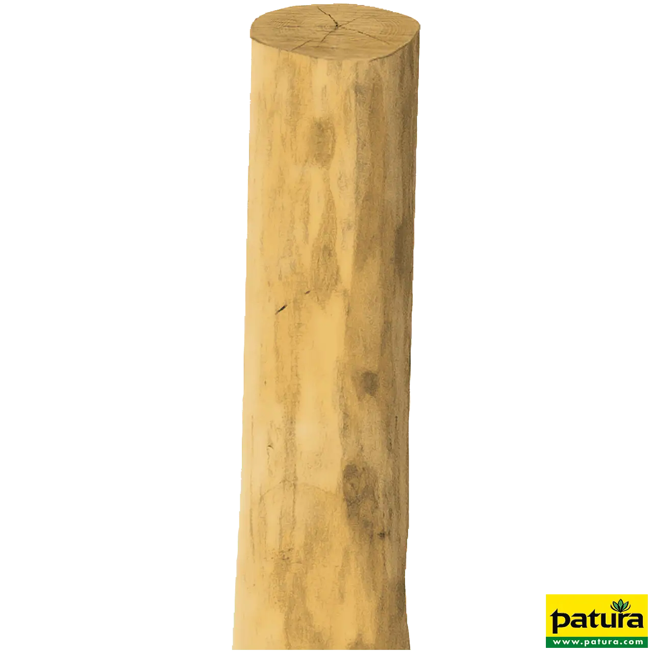 Robinienpfahl, rund, 2,25 m, Ø 14–16 cm, gefast, 4-fach gespitzt, entrindet