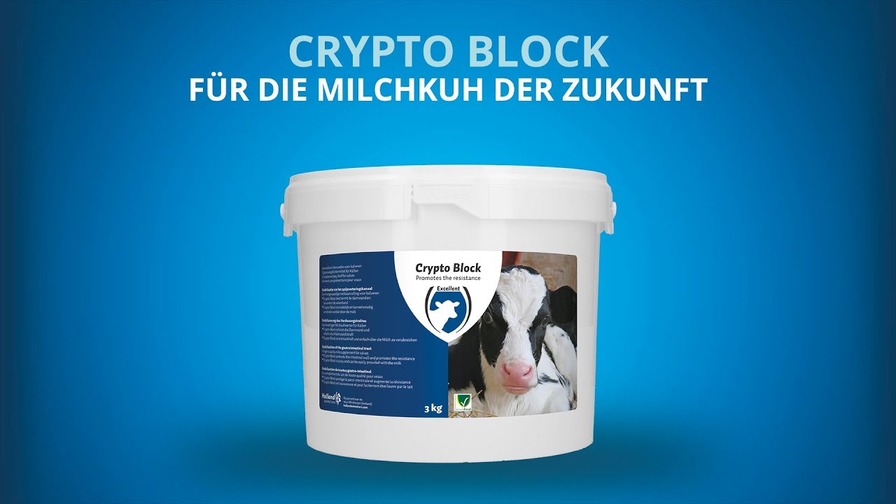 Excellent Crypto Block, Ergänzungsfuttermittel Kälber, Lämmer, 2,4 kg