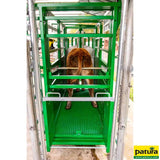 Behandlungsstand A6000, Heckschiebetür, Fangkorb 2-flügelig, stufenlose Halsfangvorrichtung, 3,2 m x 1,3 m x 2,05 m, 661 kg