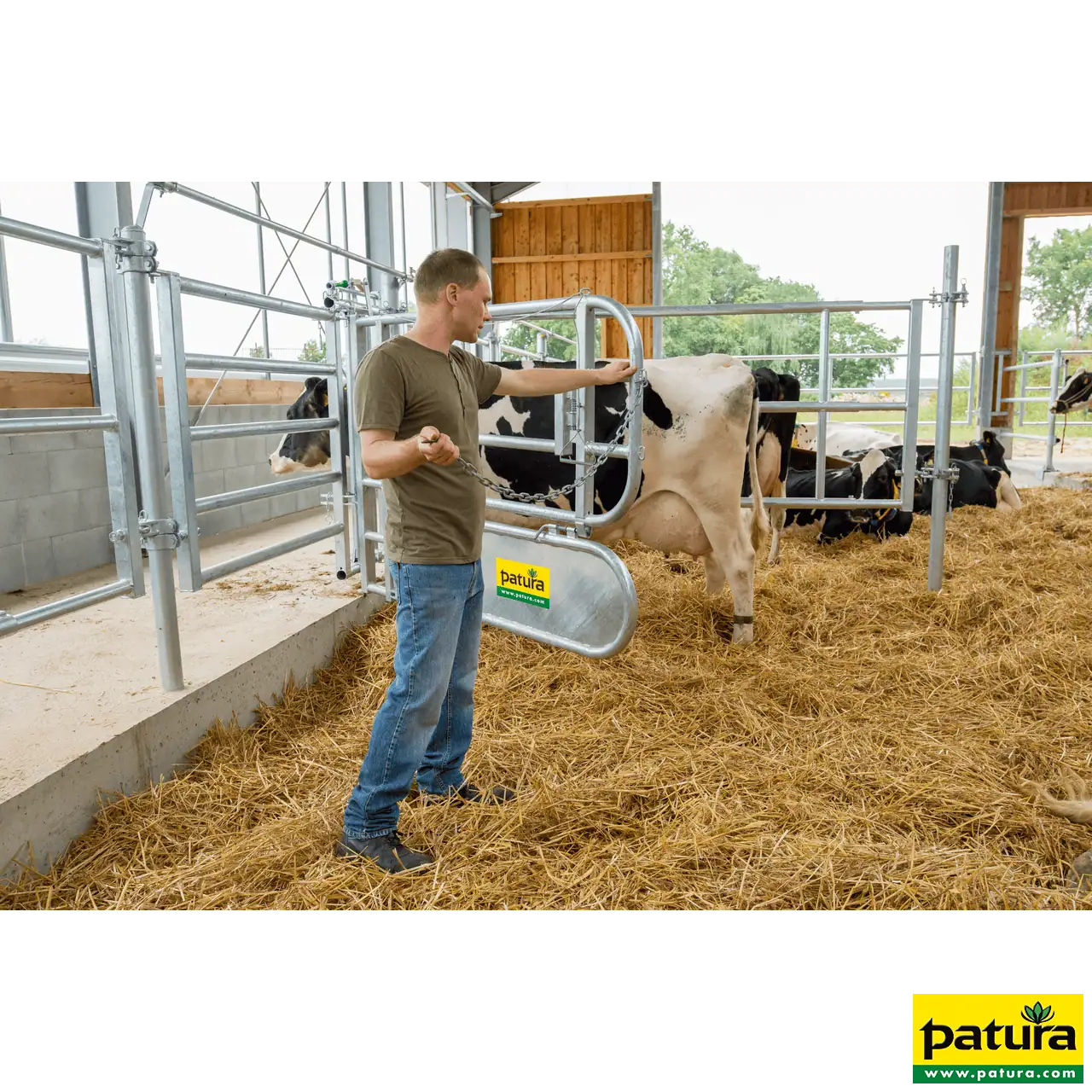 Abtrennung für Tierbehandlung, 1,9 m x 1,4 m, 69 kg