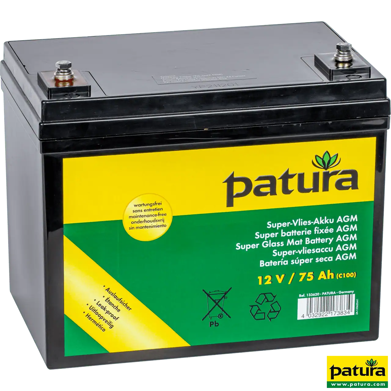 AGM Vliesbatterie 12 V, 75 Ah, wartungsfrei, mit Tragegurt