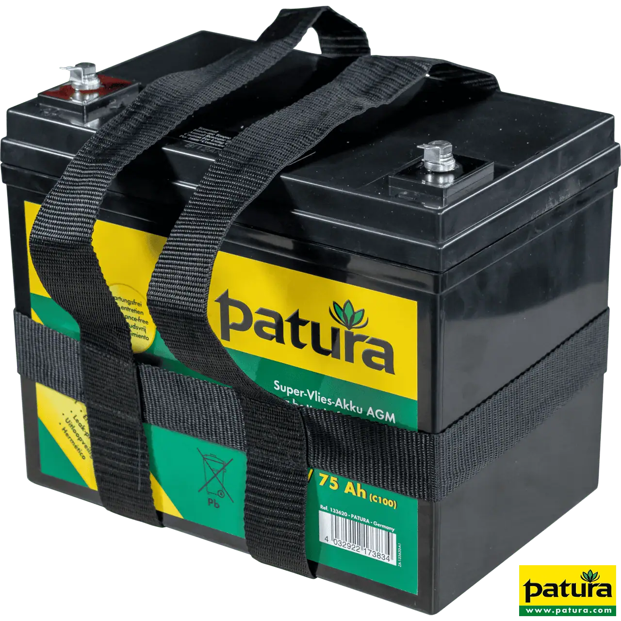 AGM Vliesbatterie 12 V, 75 Ah, wartungsfrei, mit Tragegurt