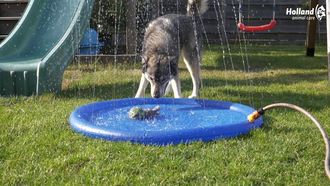 CoolPets Hundepool, Sprinkler, für Garten