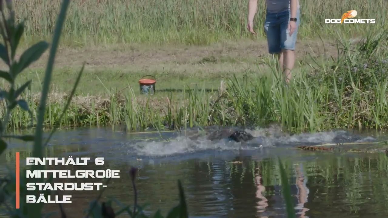 Dog Comets Stardust Hundeball, Kautschuk, schwimmfähig, Ø M, 6 Stk