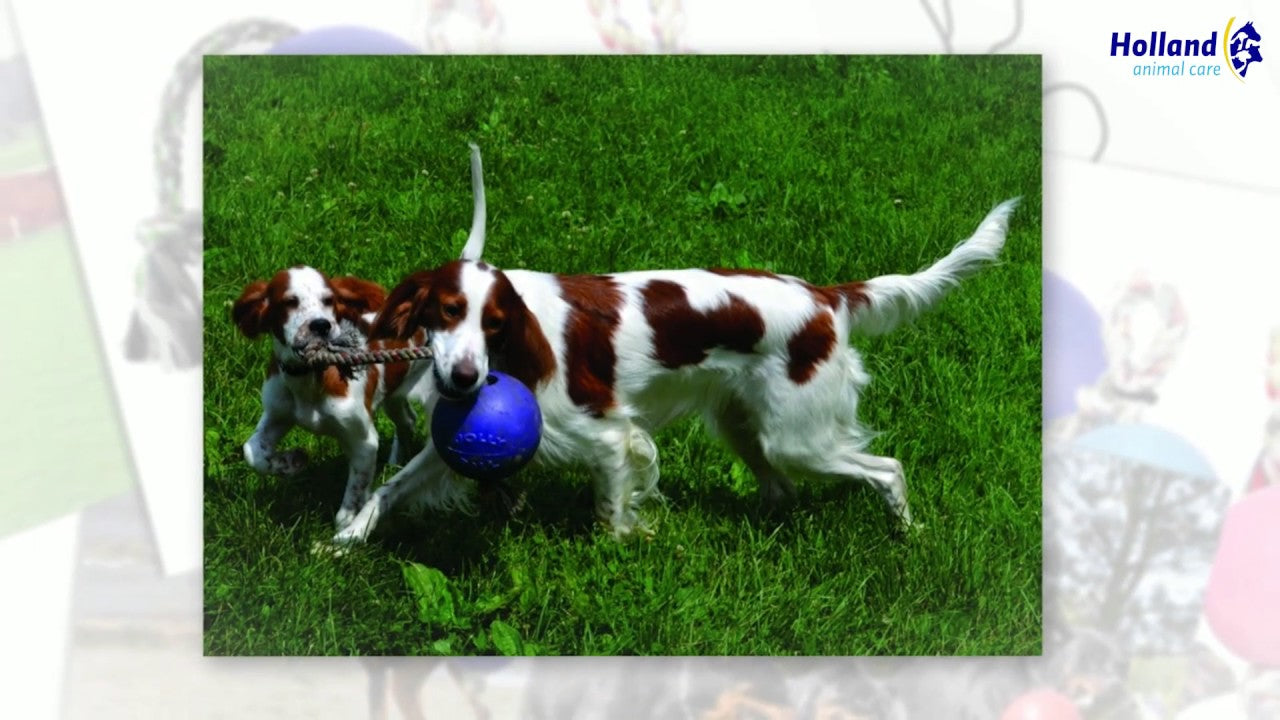 Jolly Pets Hundespielzeug Romp-n-Roll, rot, Größe L, Ø 20 cm