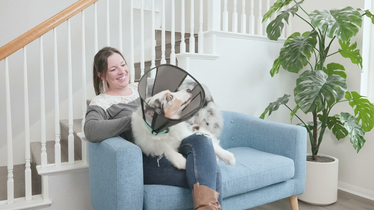 Zenpet Procone Halskragen verschiedene Größen (Hunde & Katzen)