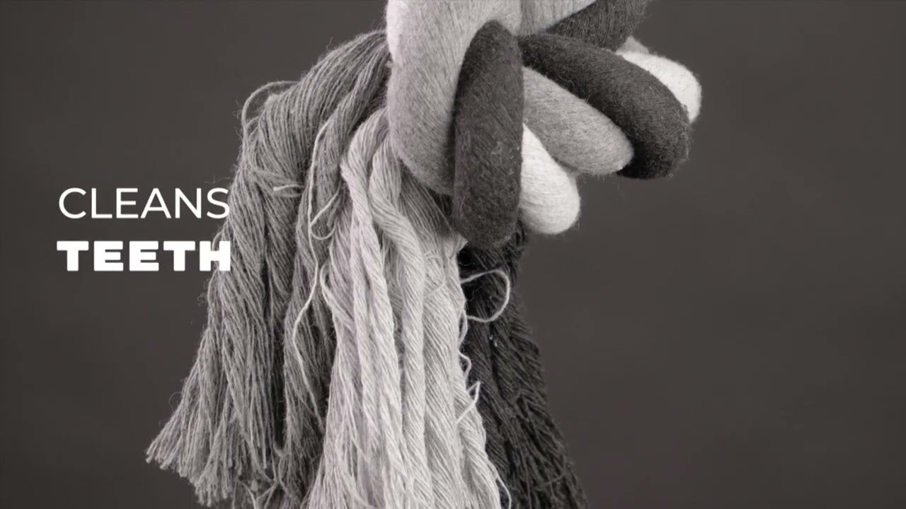 Dental Hundespielzeug Seil, 2 Knoten, Baumwolle, 20 cm