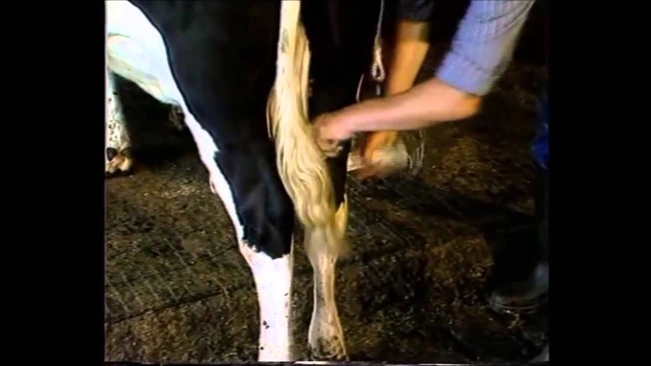 Vink Hufbügelgriff für Winde