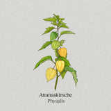 Ananaskirsche