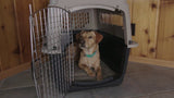 Petmate Transportbox Ultra Vari Kennel, Größe M, 53 x 71 x 56 cm