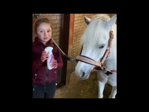 Lucky Horse Mähnen- und Schweifspray, Lavendelduft, 250 ml