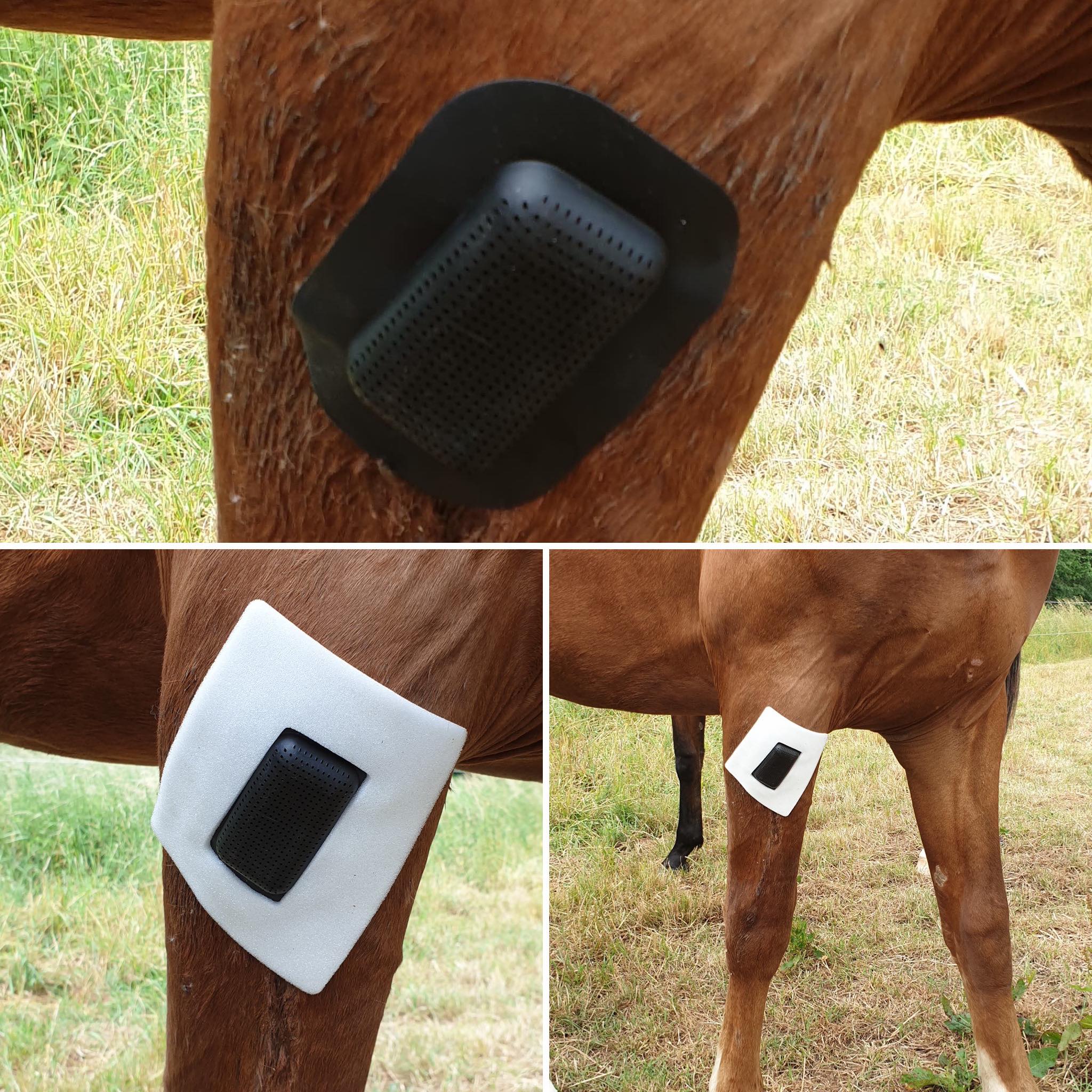 Rheva Wundschutz, belüftet, für Pferde, Rinder, Hunde, Katzen