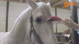 Paardenpraat TV Pferdebürste Supreme, rosa